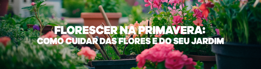 Florescer na primavera: como cuidar das flores e do seu jardim